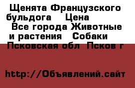 Щенята Французского бульдога. › Цена ­ 45 000 - Все города Животные и растения » Собаки   . Псковская обл.,Псков г.